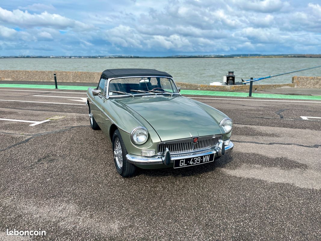 Mg b - 1974 (image 9)