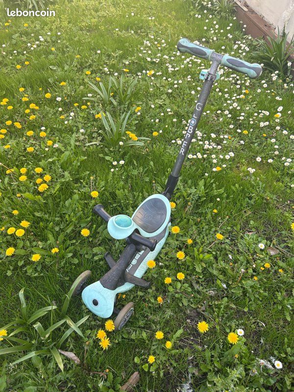 Trottinette Globber (image 1)
