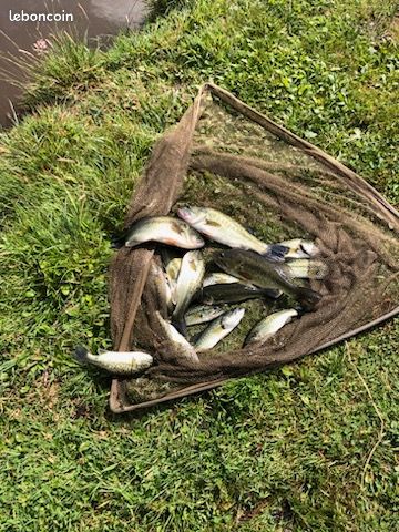 Etang de pêche (image 6)