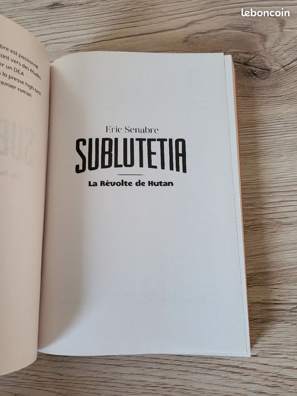 Roman Sublutetia (image 4)