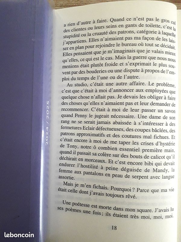 "Splendeur et décadence de Katie Castle", Rebecca Campbell (image 9)