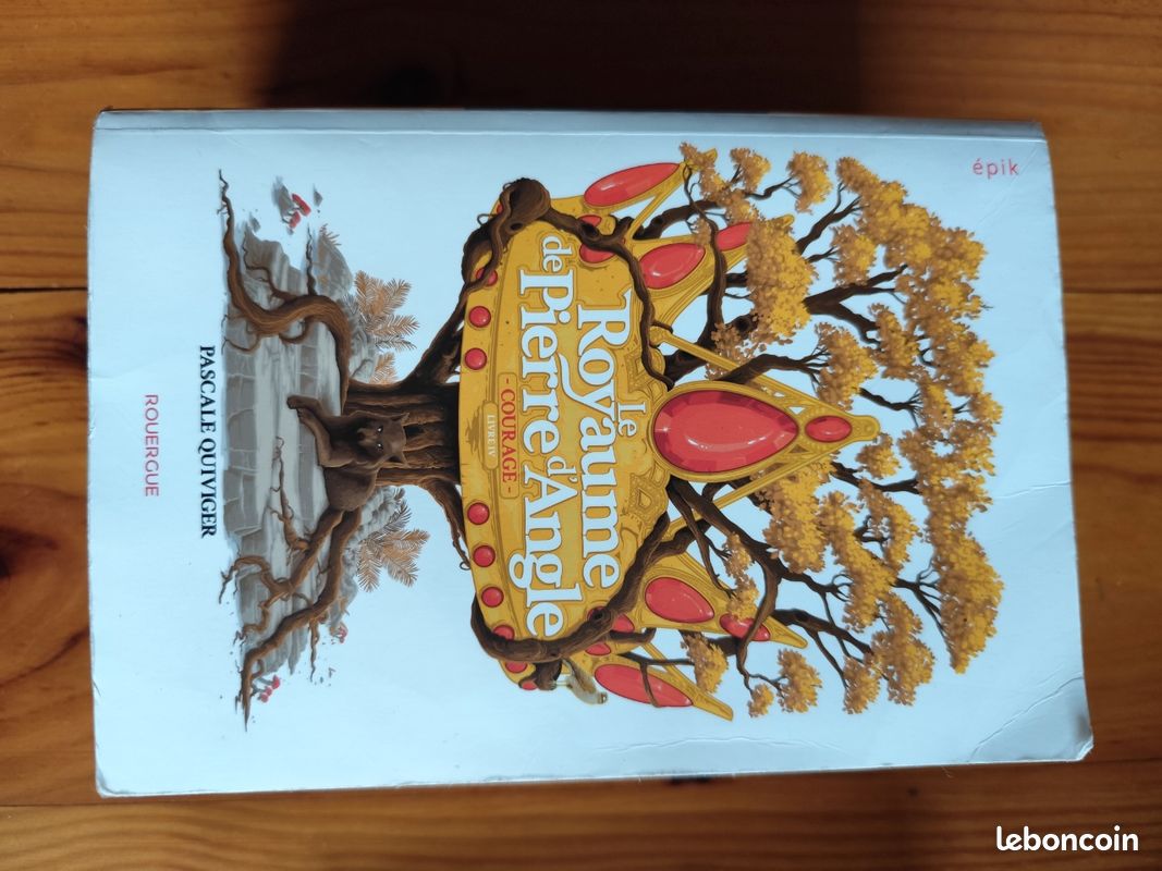 Le royaume de Pierre d'Angle tome 1,2,3 et 4 (saga complète) (image 4)