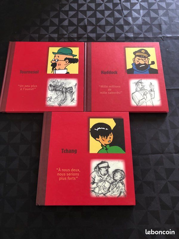 Lot livre tintin (image 1)