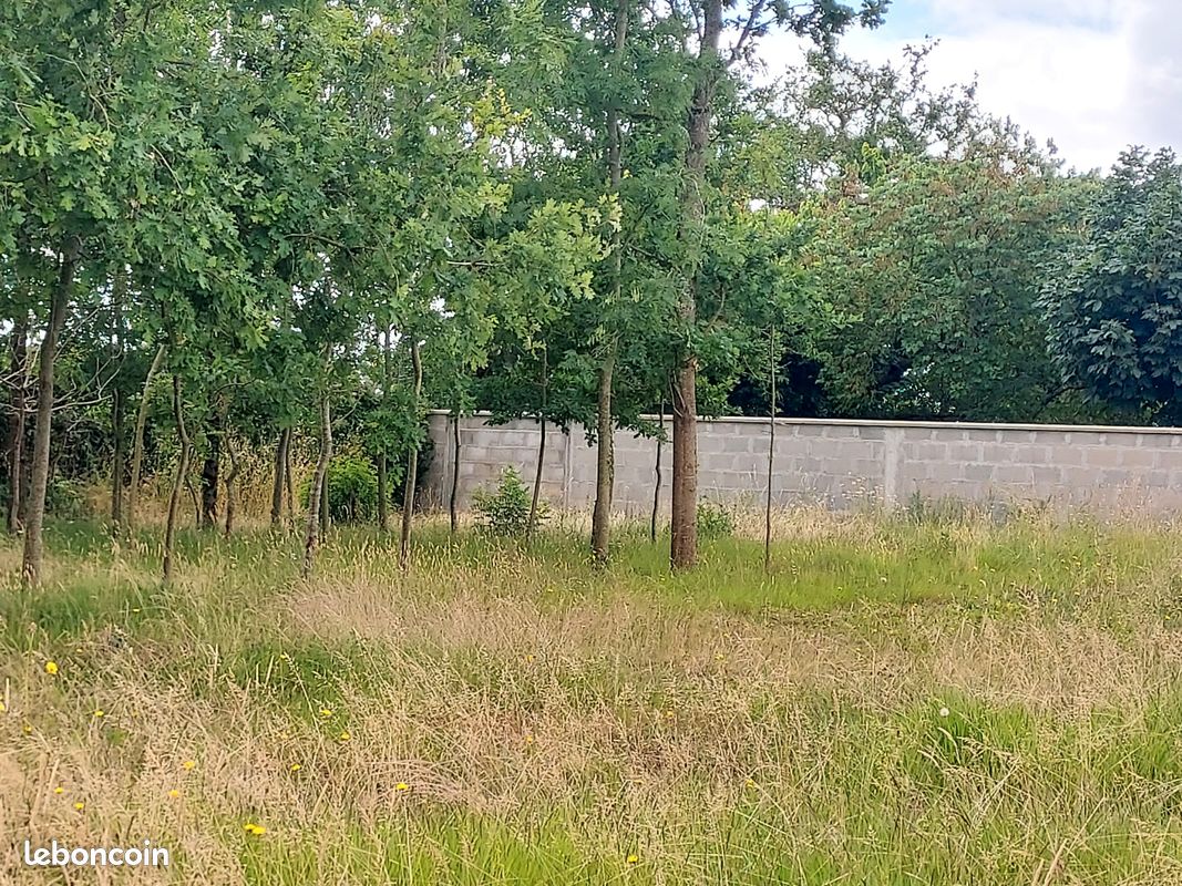 Terrain à bâtir La Roche-sur-Yon · 90 000 €