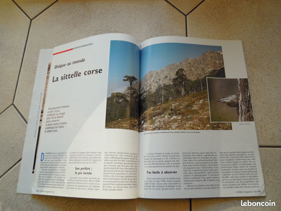 L'oiseau magazine n°39 (image 3)