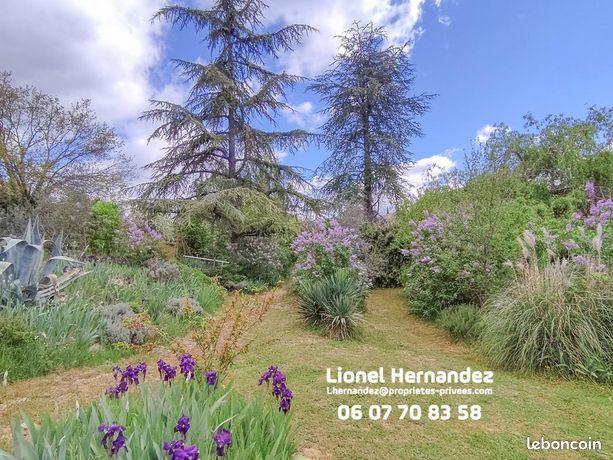 https://img.leboncoin.fr/api/v1/lbcpb1/images/47/9c/c9/479cc96270dc387508b4bd0f945949ef4c4ec785.jpg?rule=ad-image