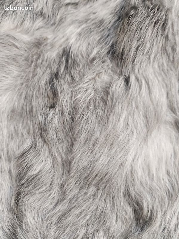 Manteau Long Vintage En Fourrure Chevrette Grise Pour Femme - Taille S, Style Canadien