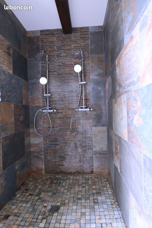 Propriété 6 pièces 210 m² - Nanteuil-en-Vallée 16700 (image principale 5)