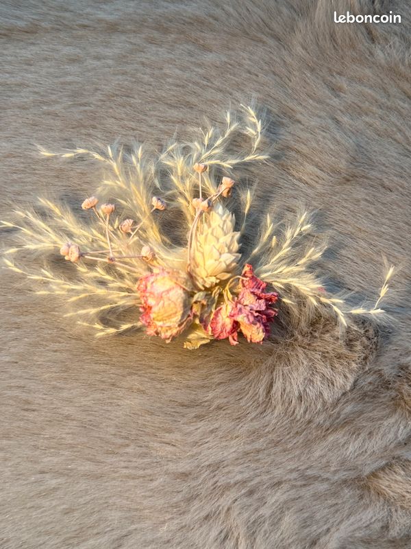 Broche (image 1)
