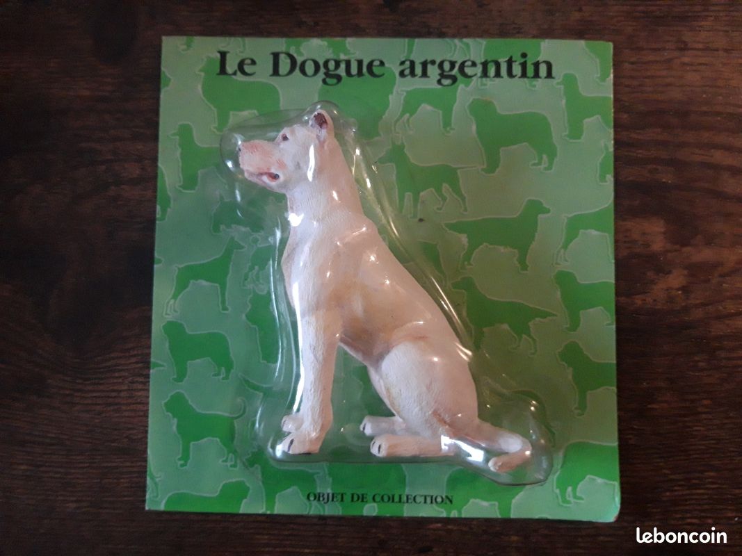 Elevage de Dogue Argentin. Perro del Chaco Dogo Argentino