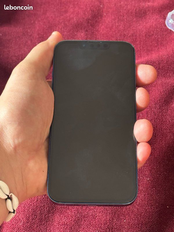 IPhone 13 Pro 256GB batterie 100% (image 12)