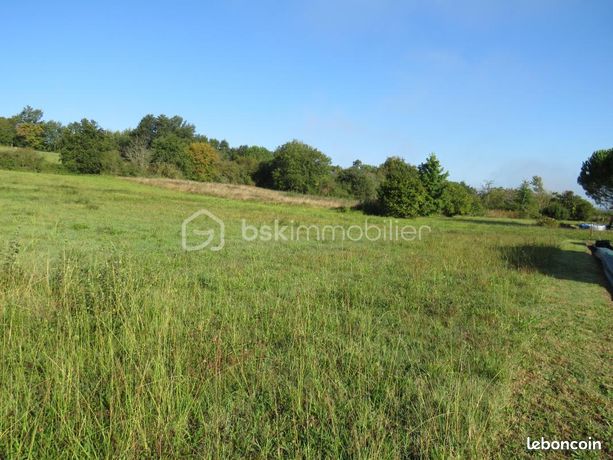 Terrain 6 038 m² Baliracq Maumusson