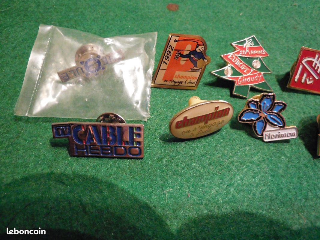 Pin's champion collection (image 2)