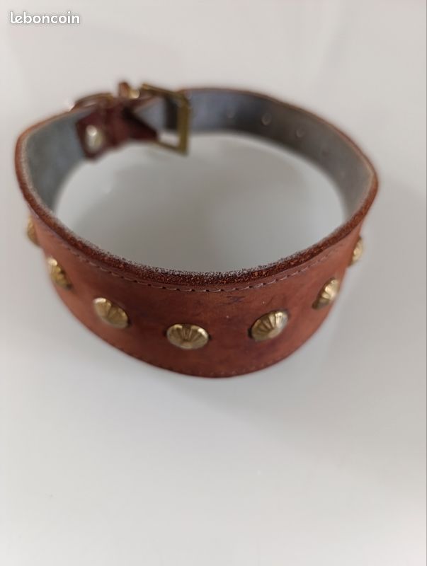 Collier chiens cuir 8 clous plats dorés (image 1)