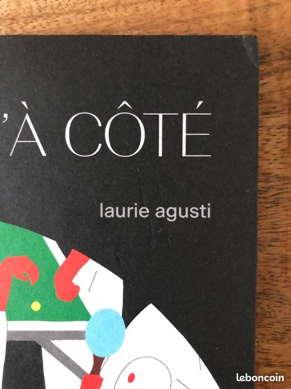 Livre Jeunesse . L’immeuble D’à Côté de Laurie Agusti (image 2)