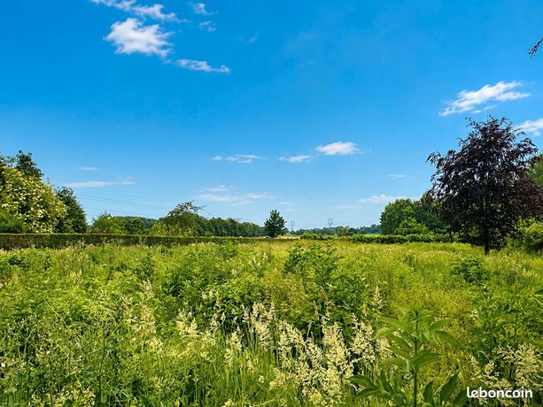 Terrain 1305 m² COUTICHES