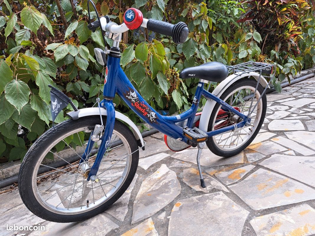 Borneobulletin Velo Pliant Electrique 20 Pouces Tout Suspendu