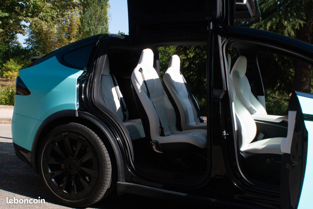 Tesla model X Plaid (image 4)