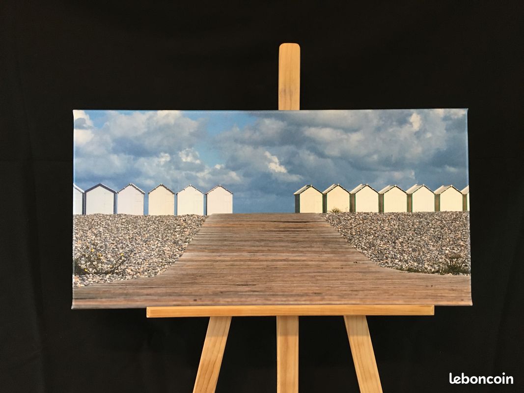 Photos imprimées sur toile cadre bois (image 9)