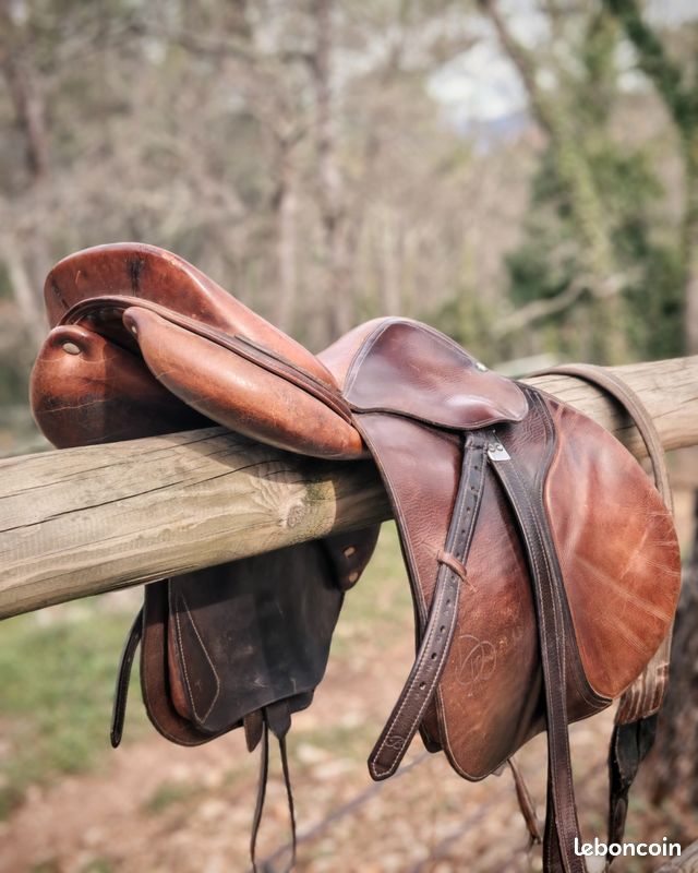 Selle - harnais pour poney - Accessoires animaux