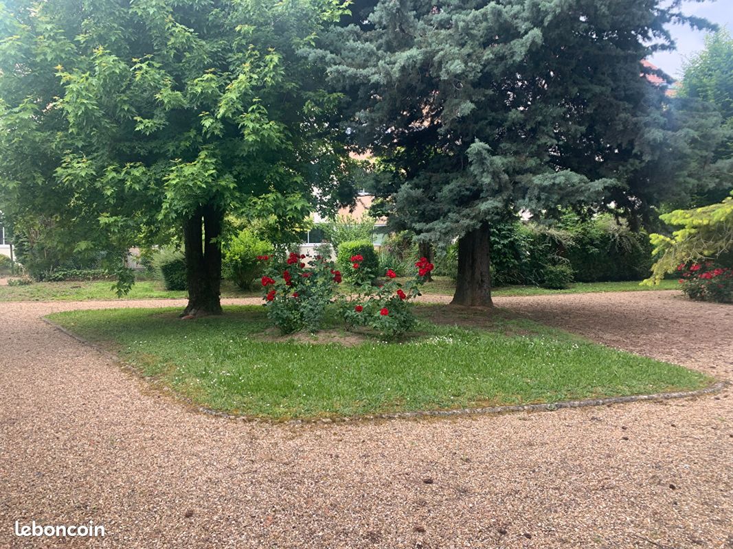 Appartement a louer chalon-sur-saone - 1 pièce(s) - 23 m2 - Surfyn