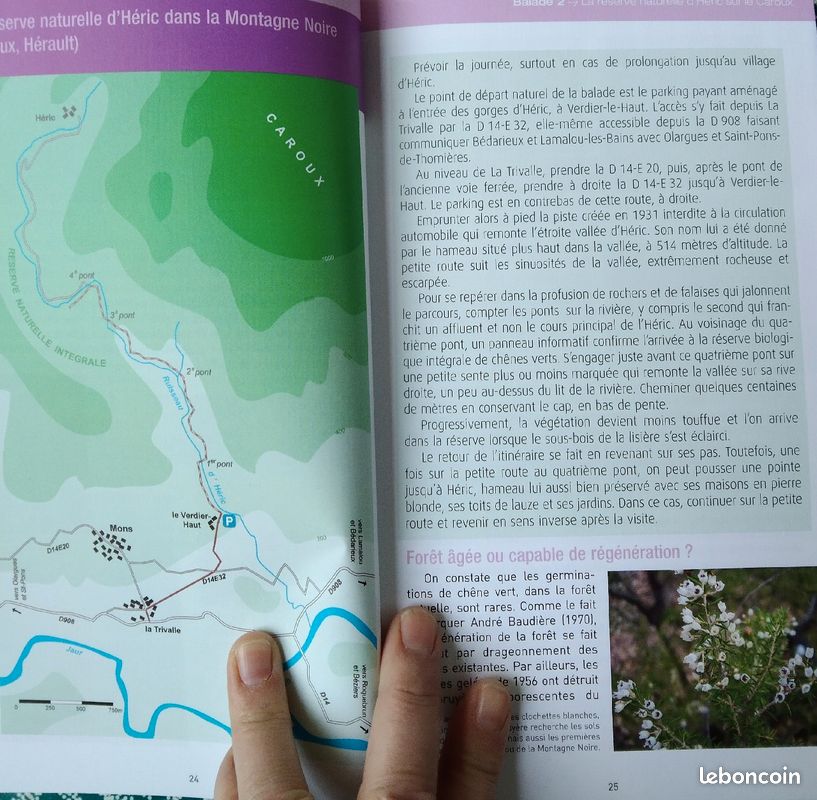 Histoire de la garrigue (image 3)