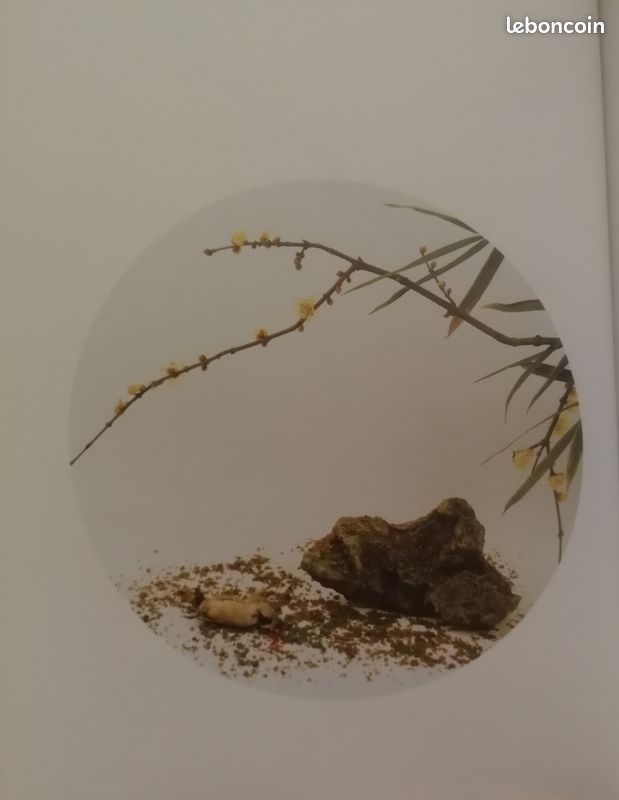 Hong Lei : photographies - peintures (image 4)