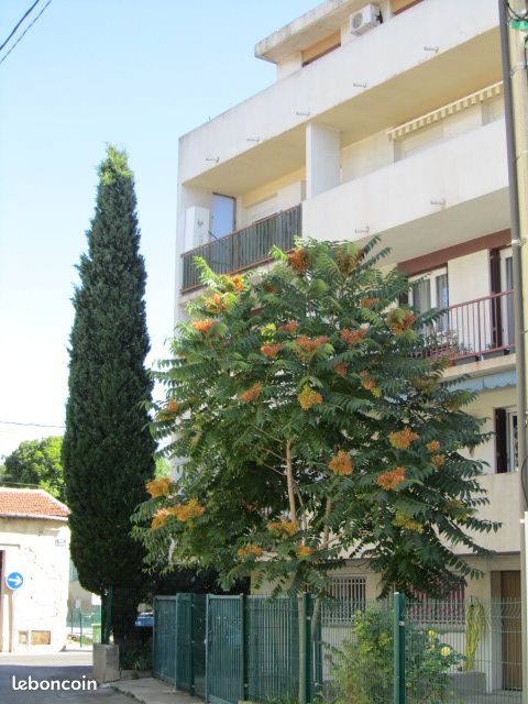 Appartement 3 pièces 55 m² · à Nîmes · 55 m² · 100 000 €