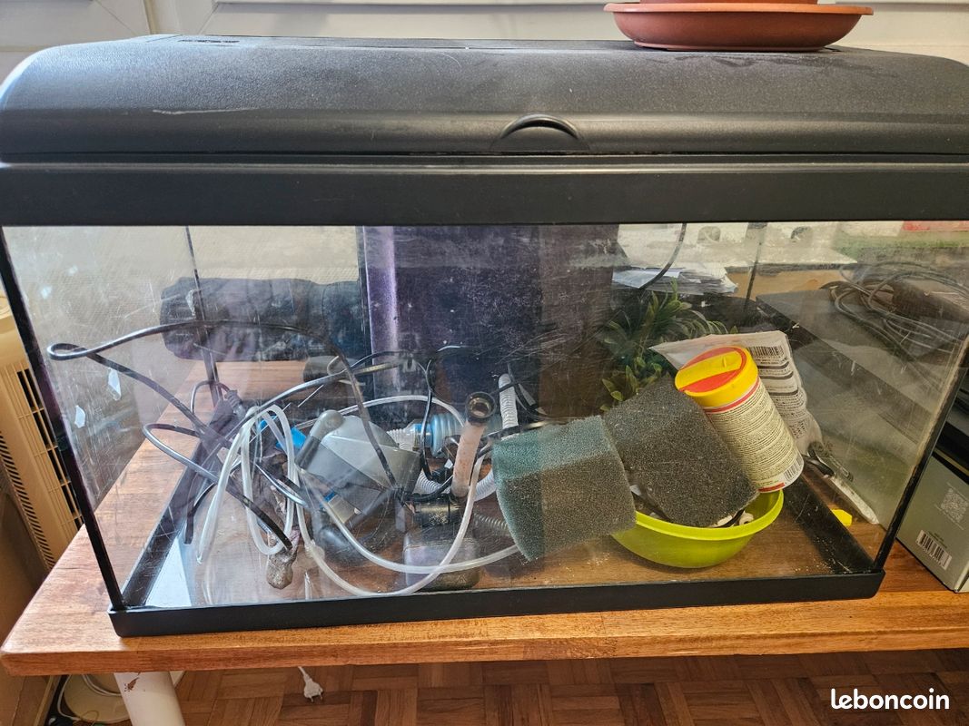 Aquarium poisson avec accessoires (image 1)