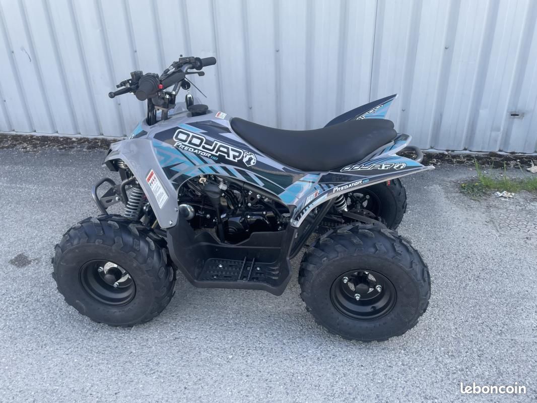 Apollo Motors ODJAR PREDATOR 110 - QUAD ENFANT (image 6)