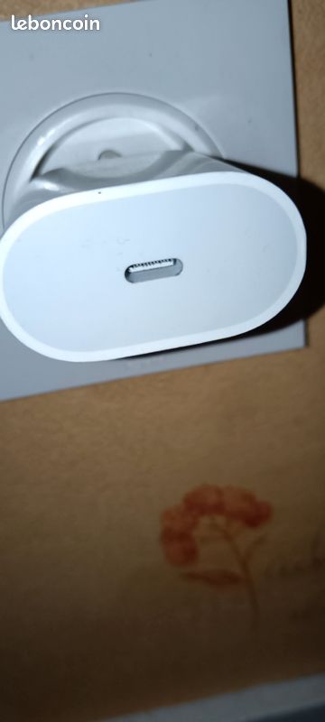 Enbout de chargeur apple (image 3)