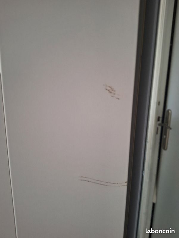2 PORTES - armoires ikea Grimo (image 4)