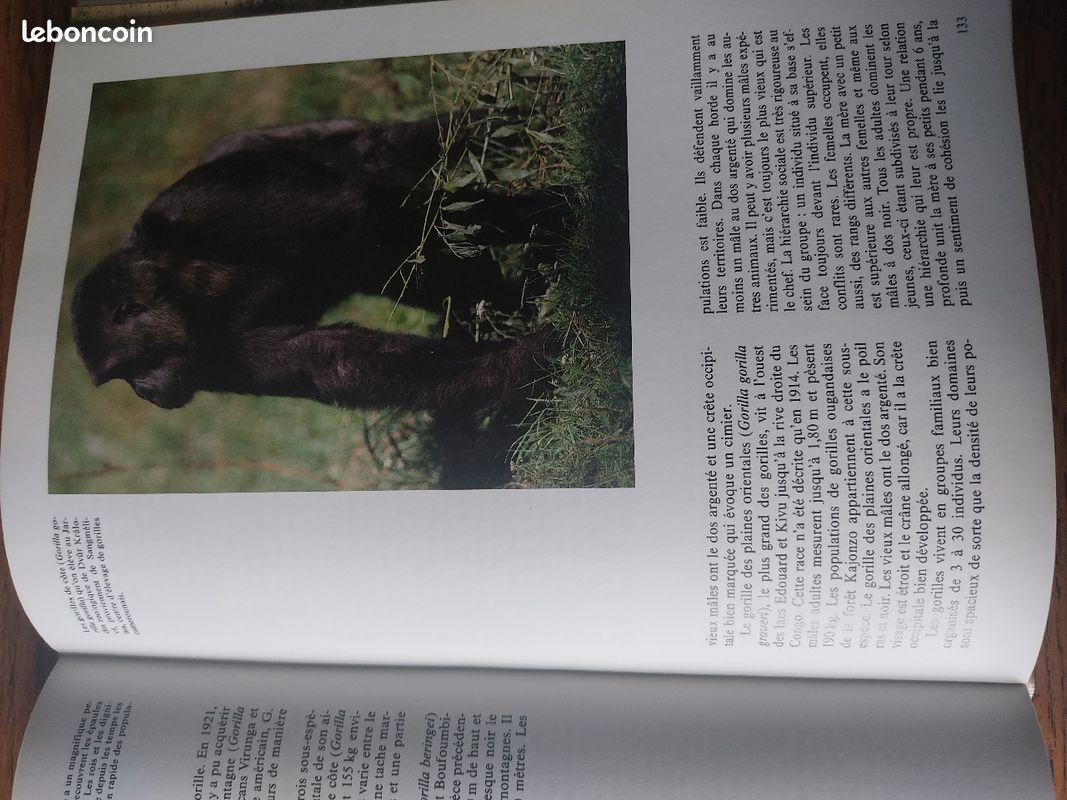Afrique paradis et enfer des animaux (image 3)