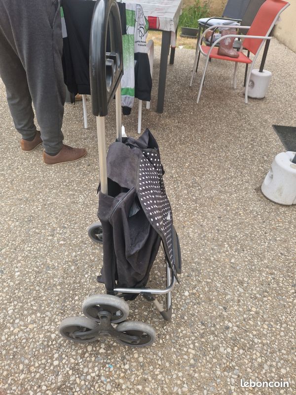 Caddie de course (image 3)