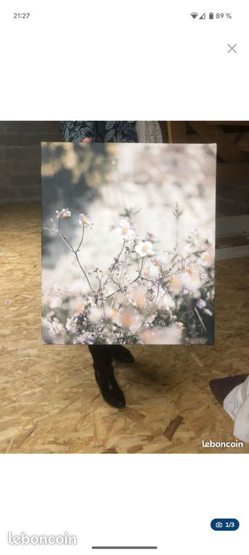 Tableaux/cadres (image 1)