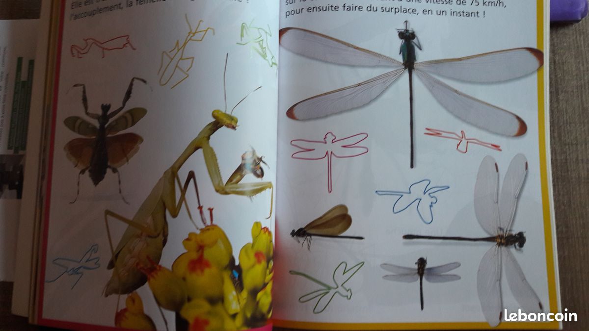 Apprends à t'amuser avec 400 autocollants PICOLLIA (image 2)