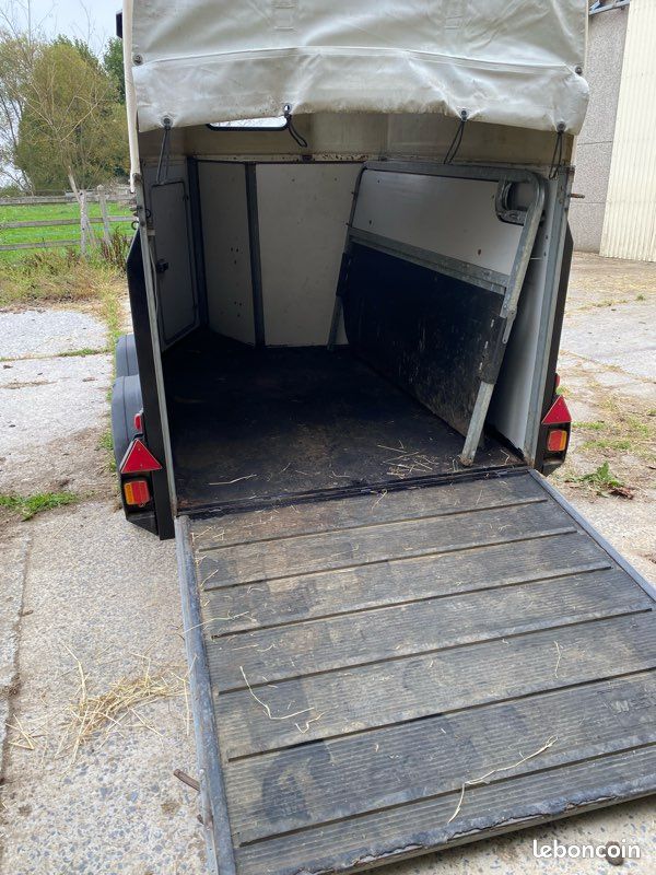 Van westfalia places avec sellerie Accessoires animaux