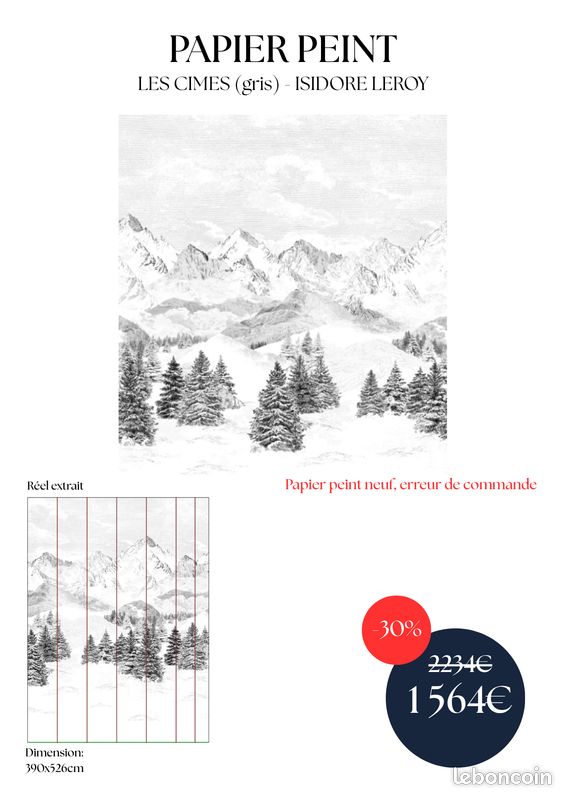 Papier peint panoramique LES CIMES gris – Isidore Leroy (image 2)