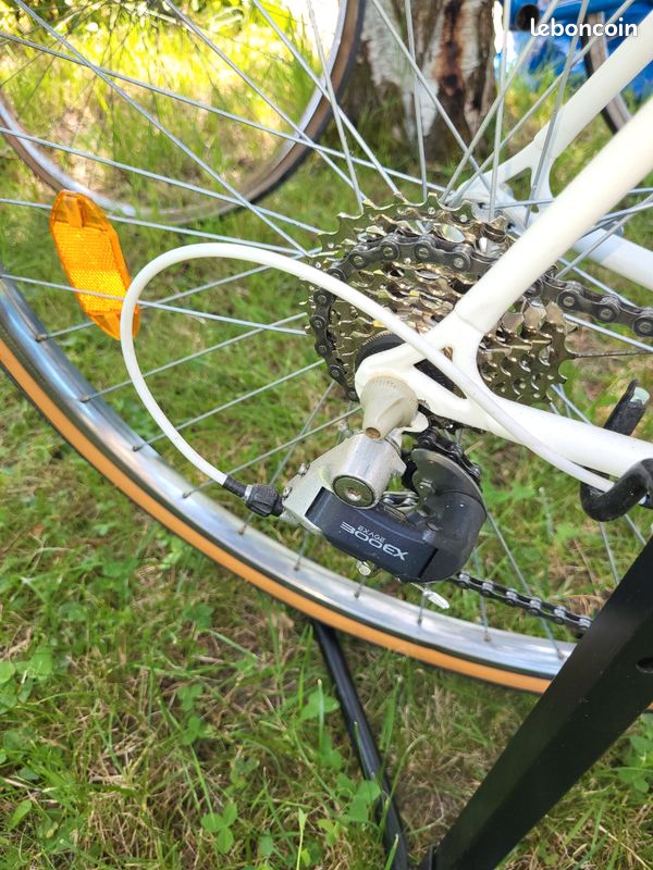 Velo course vanheste transforme gravel (image 8)