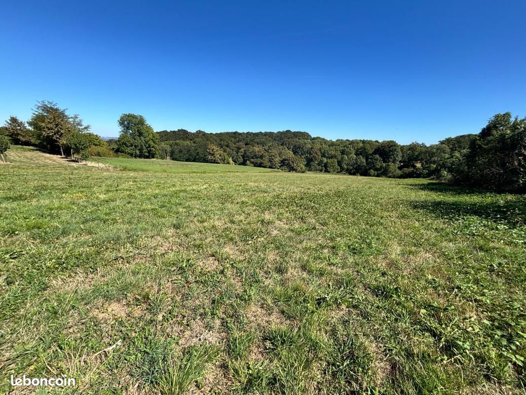 Terrain 7461 m² · à Montignac · 216 000 €