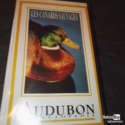 VHS Les canards sauvages (image 1)