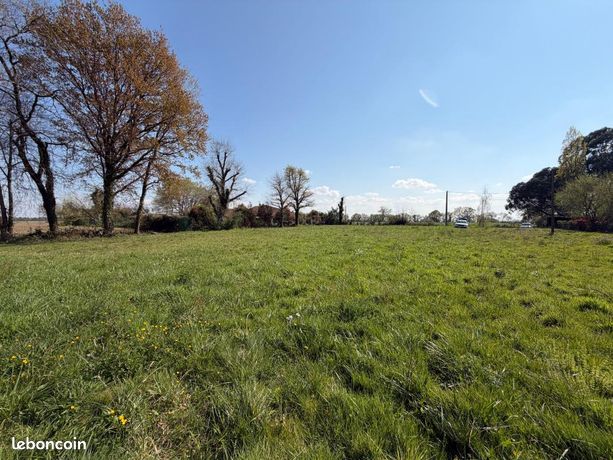 Terrain 3 084 m² Montgaillard