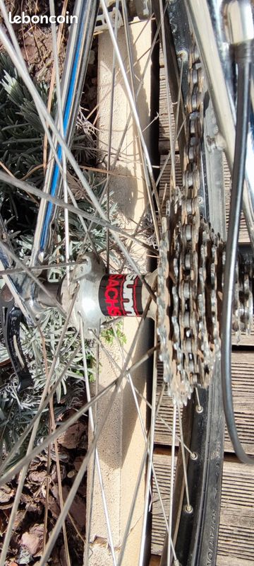 VTT Sunn Xircuit Flex (image 9)