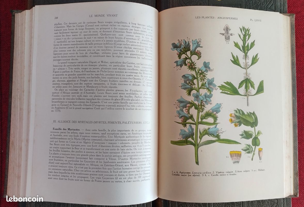 Henri Courtière "Le Monde Vivant" 5 volumes (image 4)