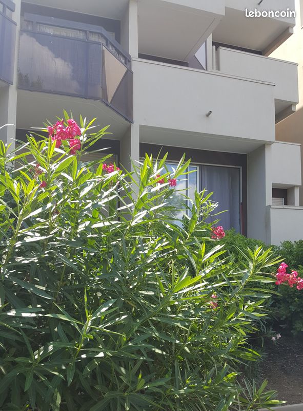 Appartement 1 pièce 22 m² · à Montpellier · 22 m² · 540 €/mois