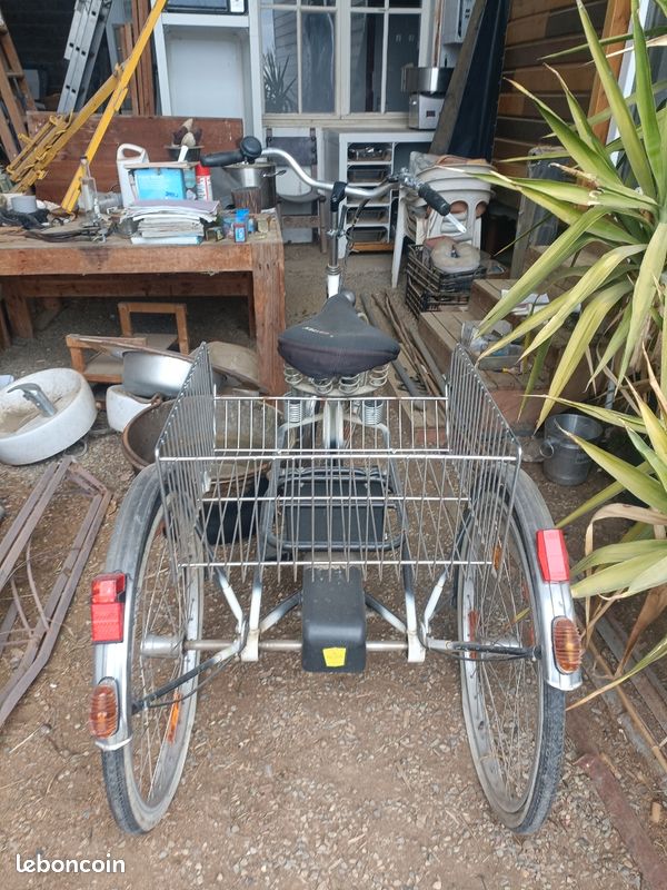 Tricycle adulte (image 3)