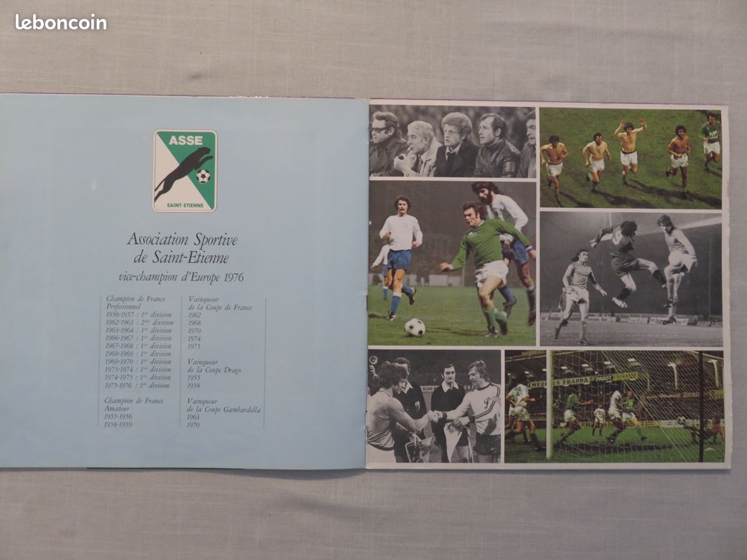 Vinyle "Allez les verts" A.S Saint-Etienne (image 4)