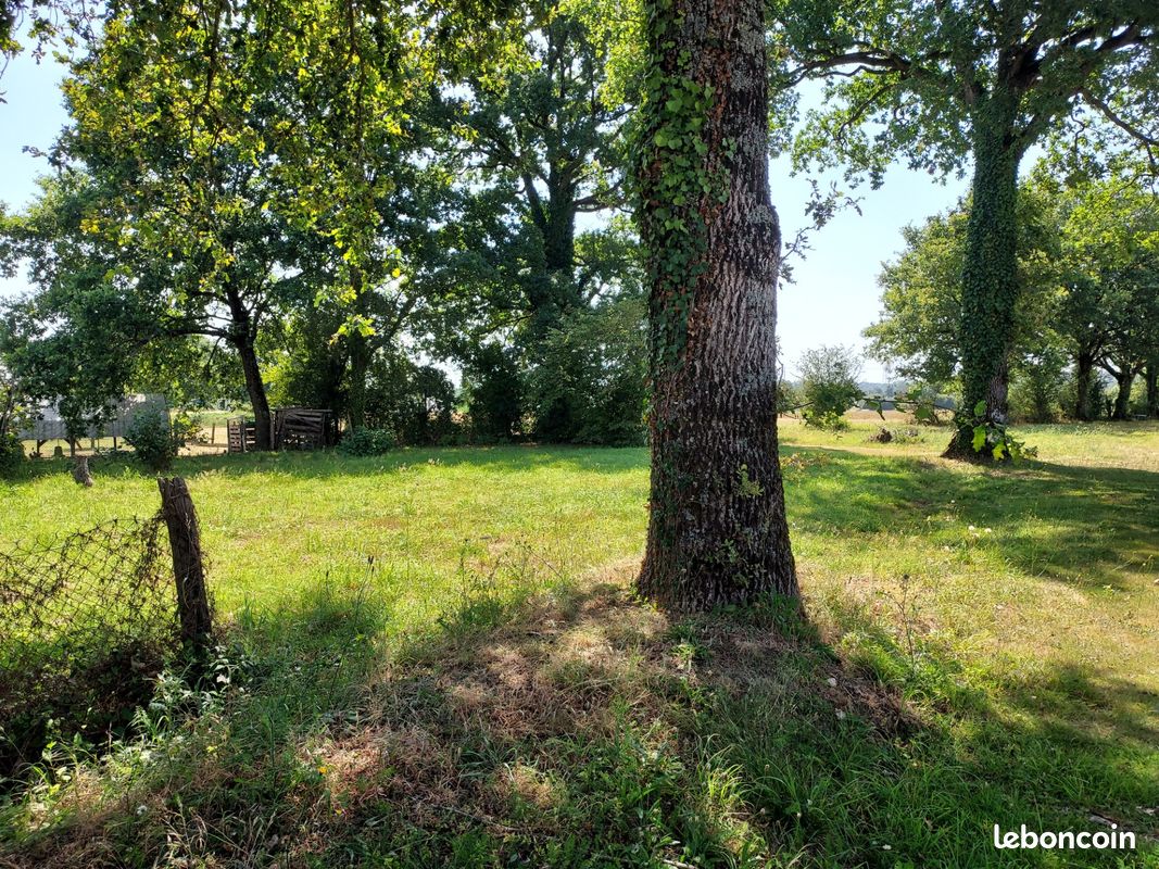 Terrain 992 m² · à Pontchâteau · 992 m² · 65 000 €