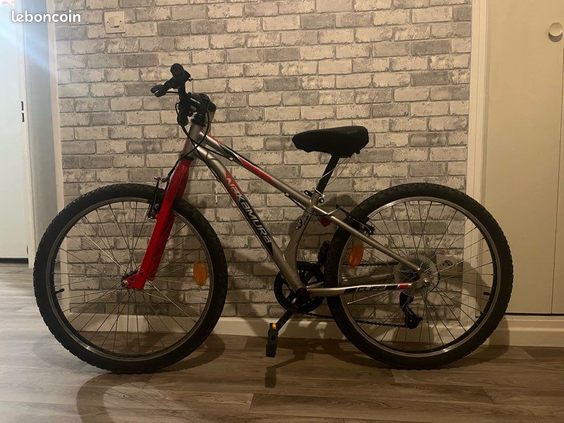 Vélo 20 pouces (image 1)