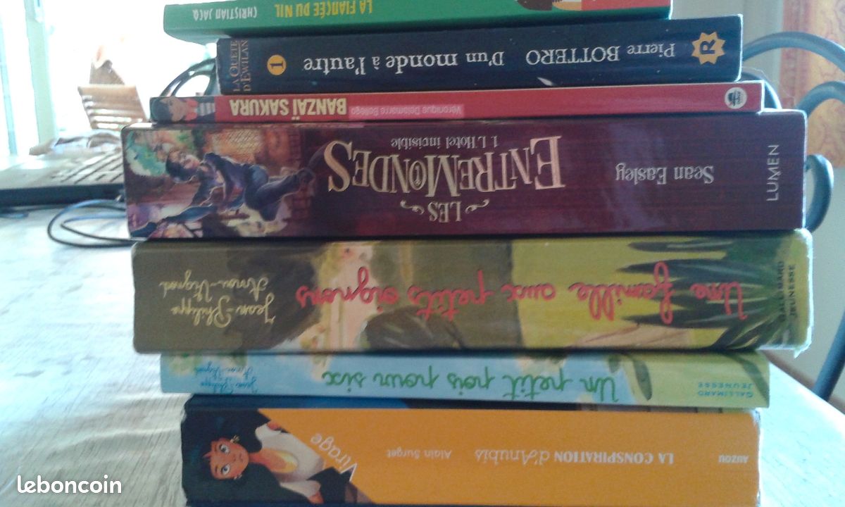 Livre junior (image 1)
